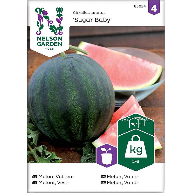 Nelson Garden Seeds Melon Water, Sugar Baby