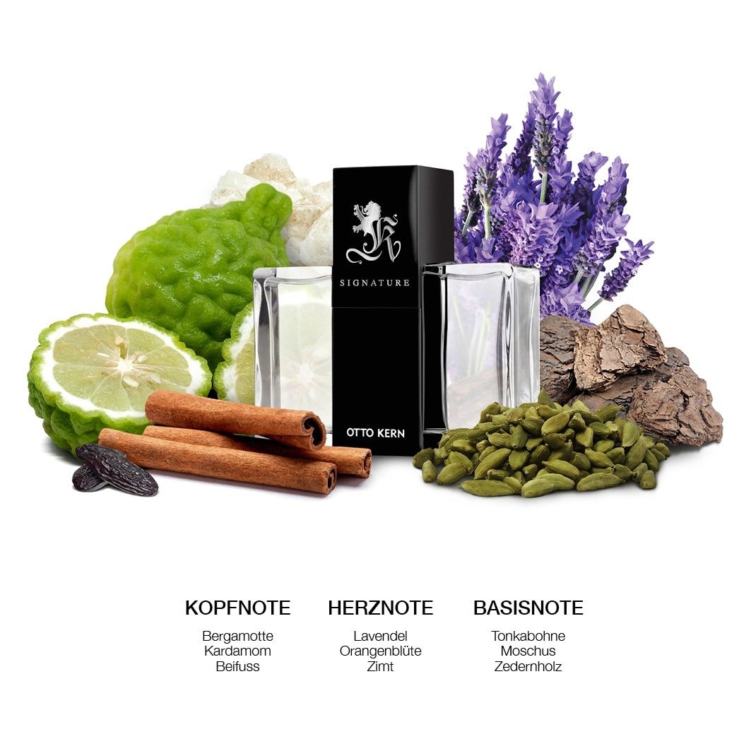 Otto Kern Eau de Toilette Signature Man - 30 ml