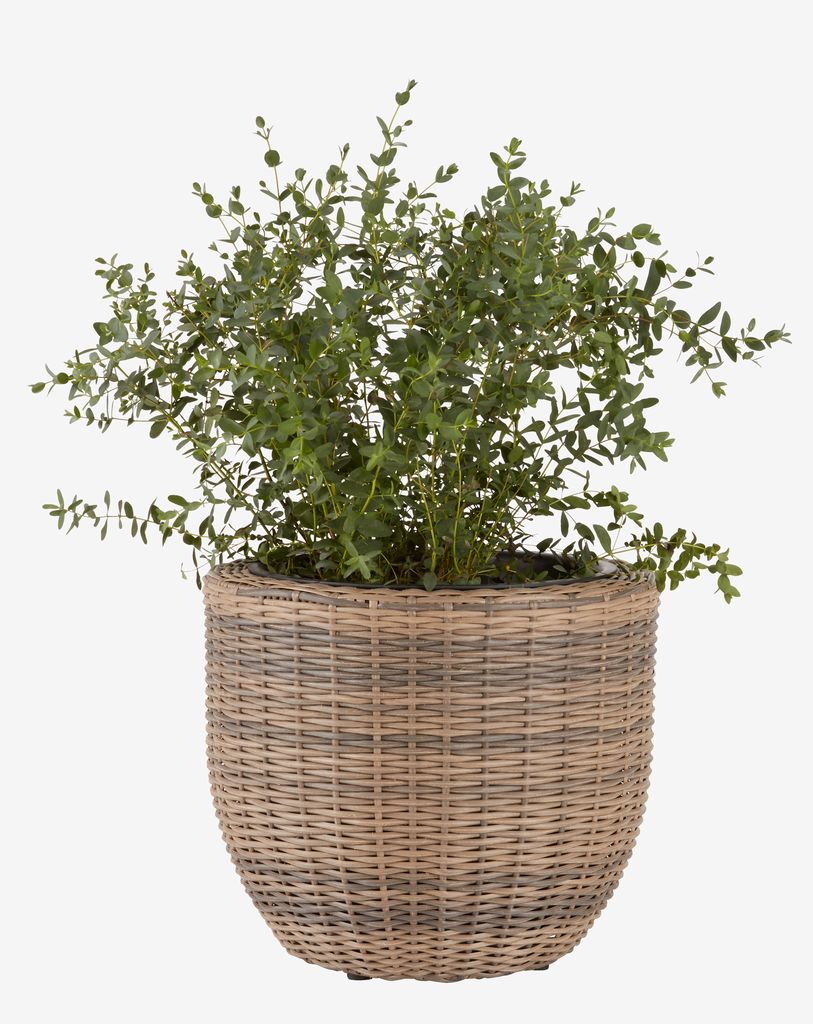 SVARTBAK SVARTBAK korpa saksija Ø42xW36 prirodna