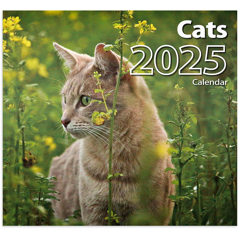 Calendario de pared de gatos 2025