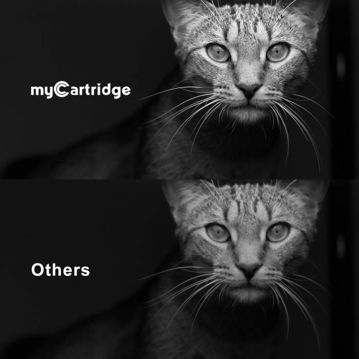 Συμβατό με MyCartridge για εκτυπωτές μελάνης και λέιζερ Brother TN-2420, αξεσουάρ τόνερ TN2420 (με τσιπ) για M 93157