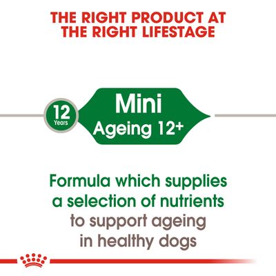 Royal Canin Mini Ageing 12+ în sos