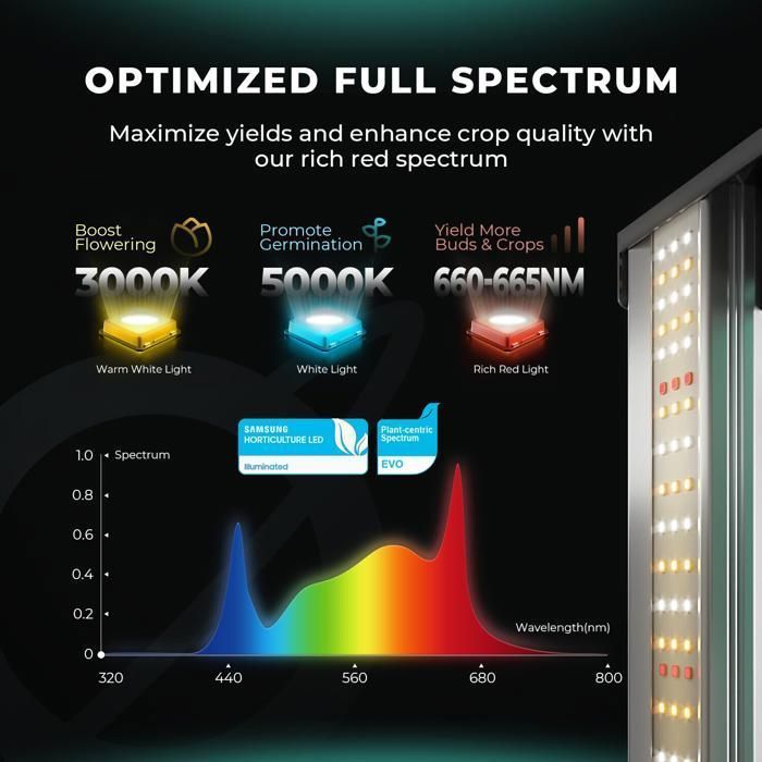 Verbeterde MARS HYDRO FC EVO 1500 150W dimbare LED-kweeklamp Samsung LM301H EVO voor kweektenten van 70x70 cm