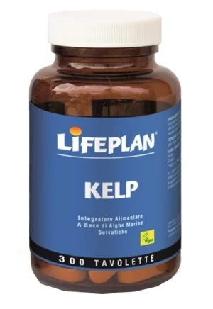 PLAN DE VIE Kelp 3Tav
