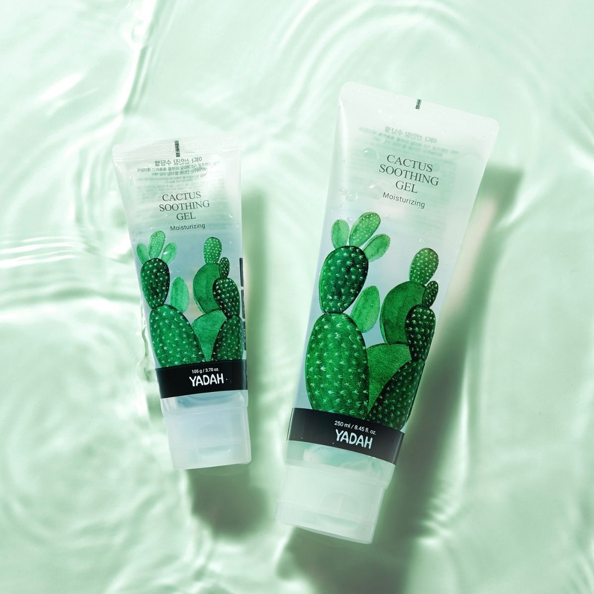 Cactus Yadah