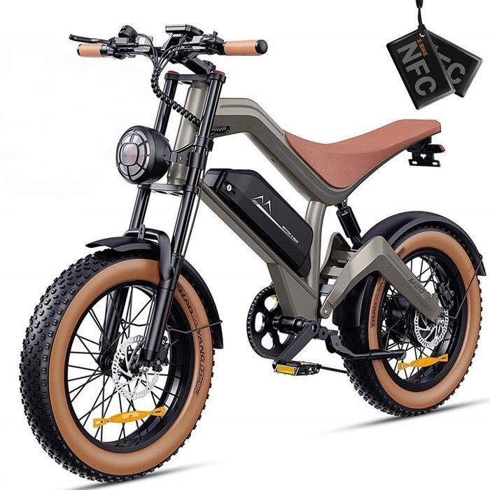 Vélo électrique - DYU - M20 - Moteur 1000W - Batterie 48V  - 18.2Ah - Pneus 20x4,0