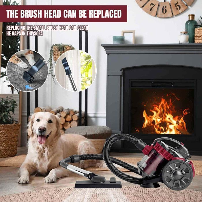Potente aspirapolvere senza sacco da 2600 W e 1,5 litri – Pulisce pavimenti, divani e tappeti con numerosi accessori, cavo da 5 m, silenzioso e resistente.