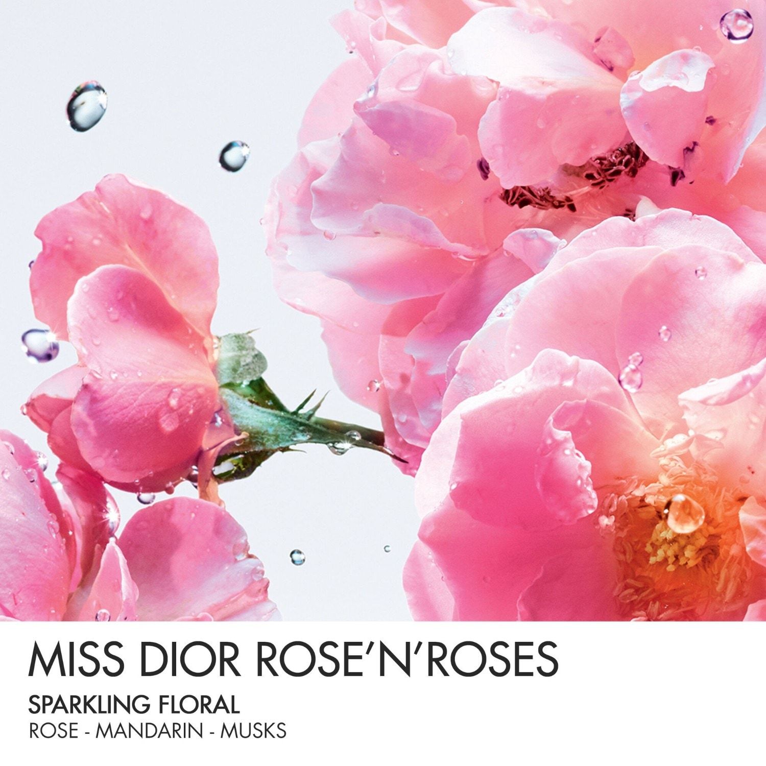 DIOR Miss Dior Rose N'Roses tualetinis vanduo Roller-Pearl - 20 ml