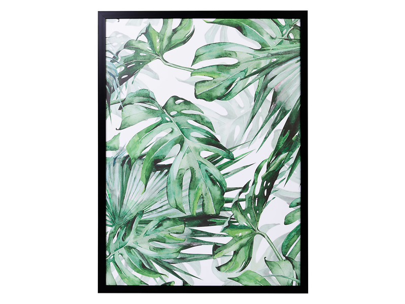 Obraz Liście Monstery 50x70 cm