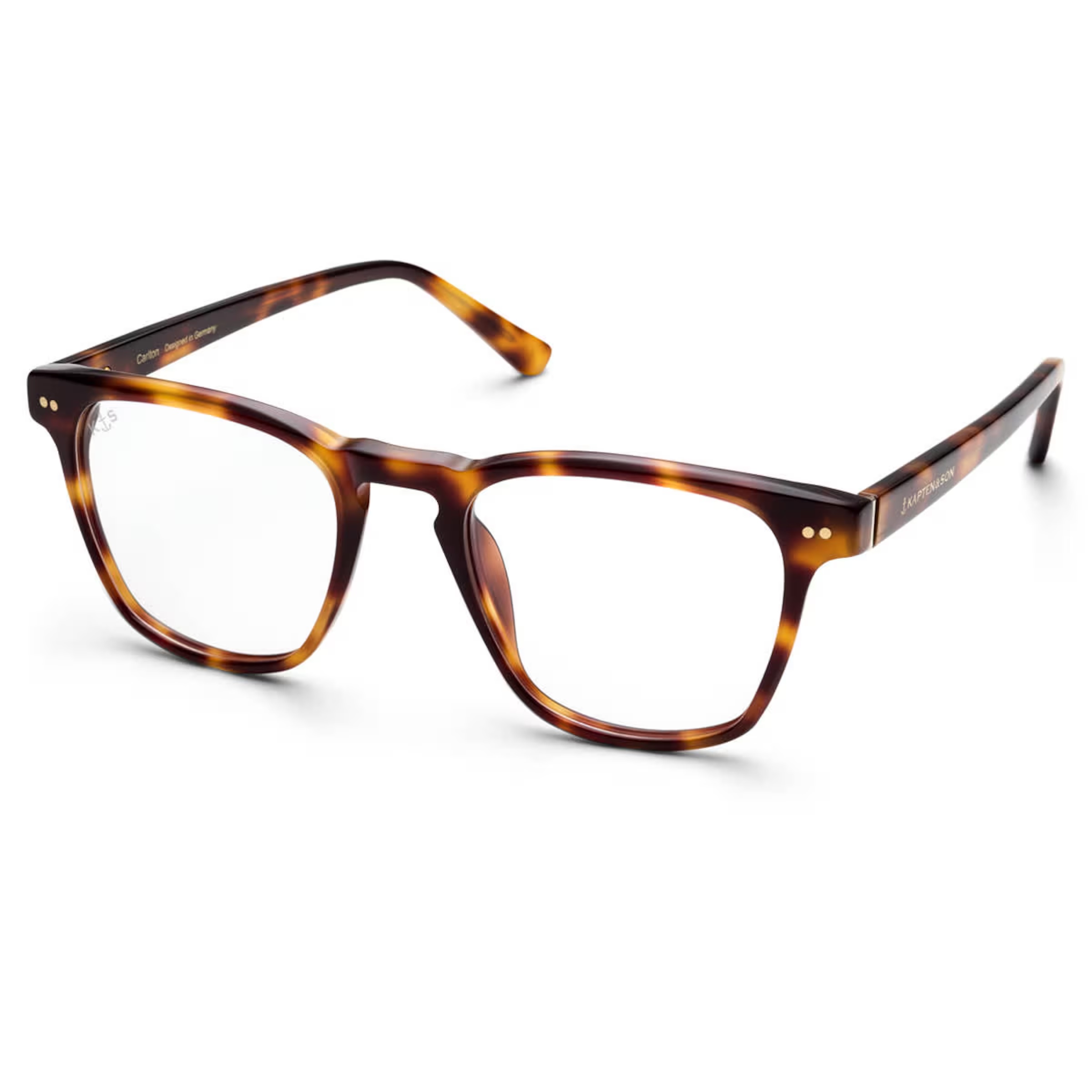 Tortue Carlton Shine