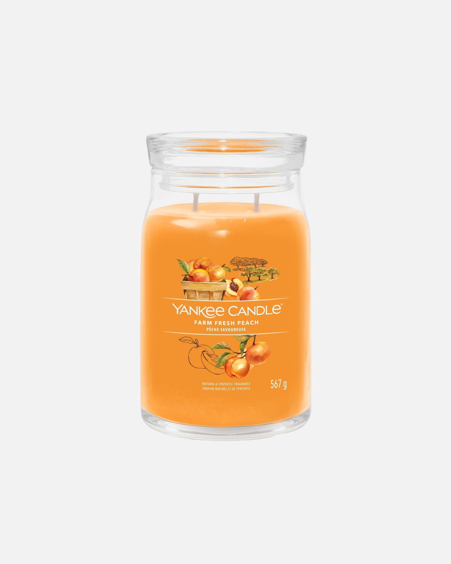 YANKEE CANDLE Grande Jarre Pêche Savoureuse