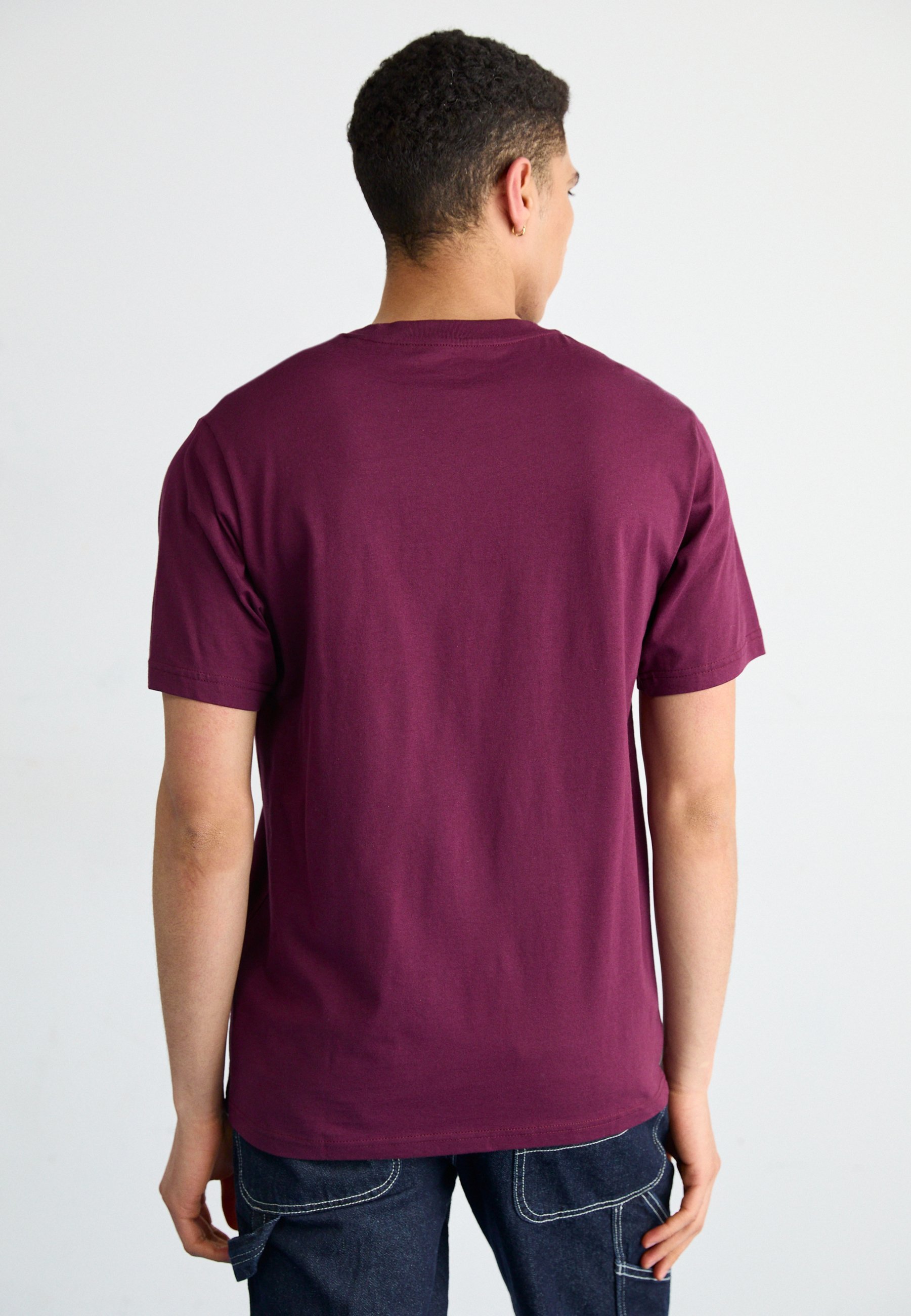 Základní trička Dickies
