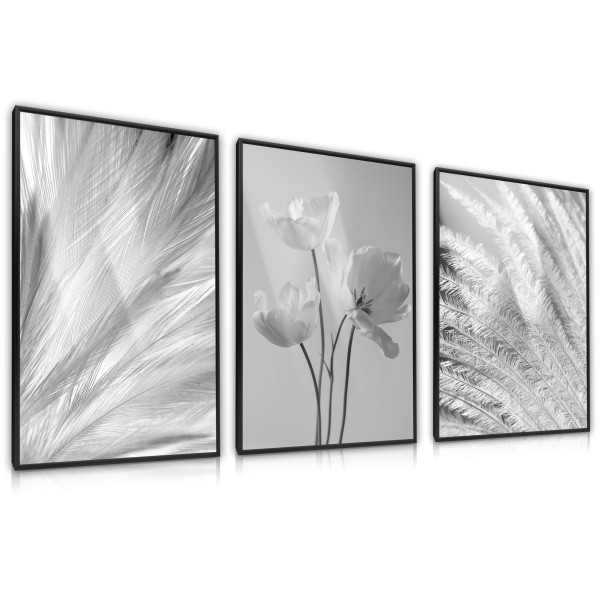ZESTAW 3X Plakat Czarno-białe Rośliny 90x40cm