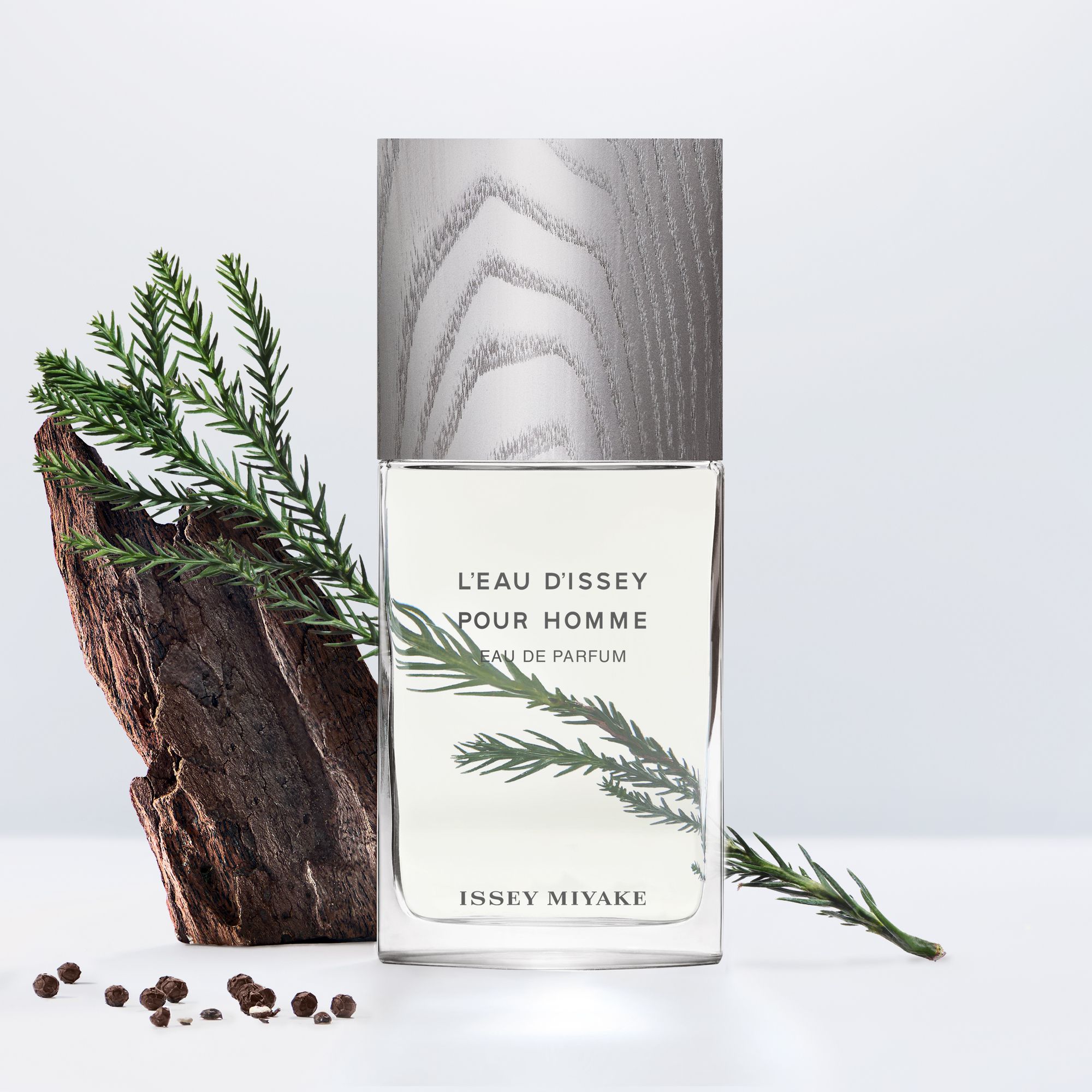 L'Eau d'Issey pour Homme Eau de Parfum Parfumi za moške