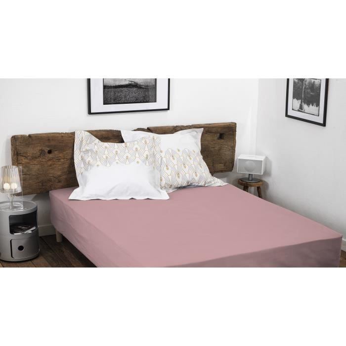 Lenzuolo con angoli elasticizzati - HOME LINGE PASSION - Rosa cipria - 180x200 cm + 30 cm - 100% cotone 57 fili