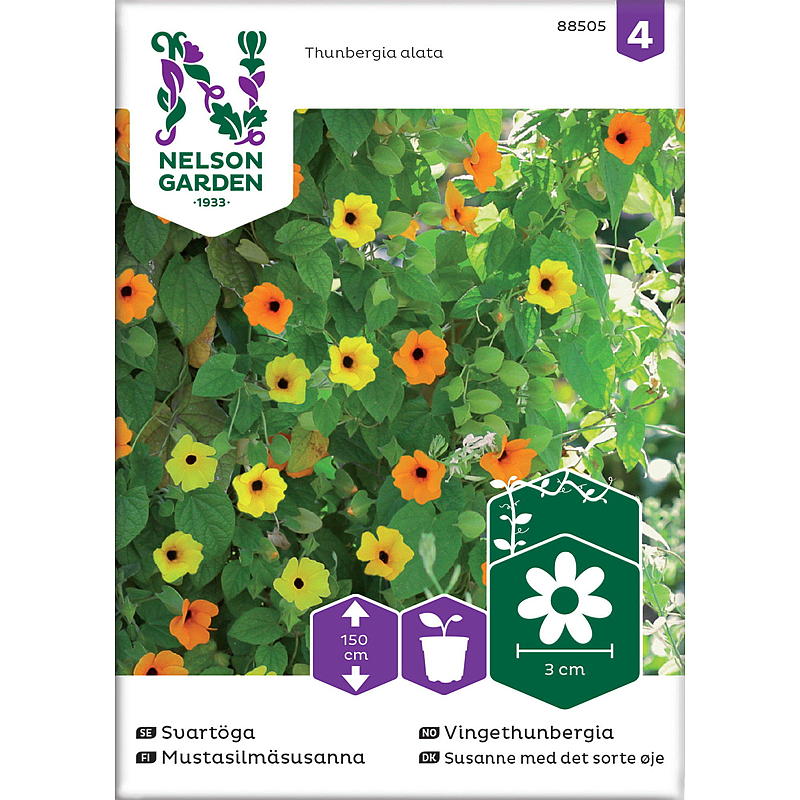 Nelson garden Frø Vingethunbergia, blandede farver