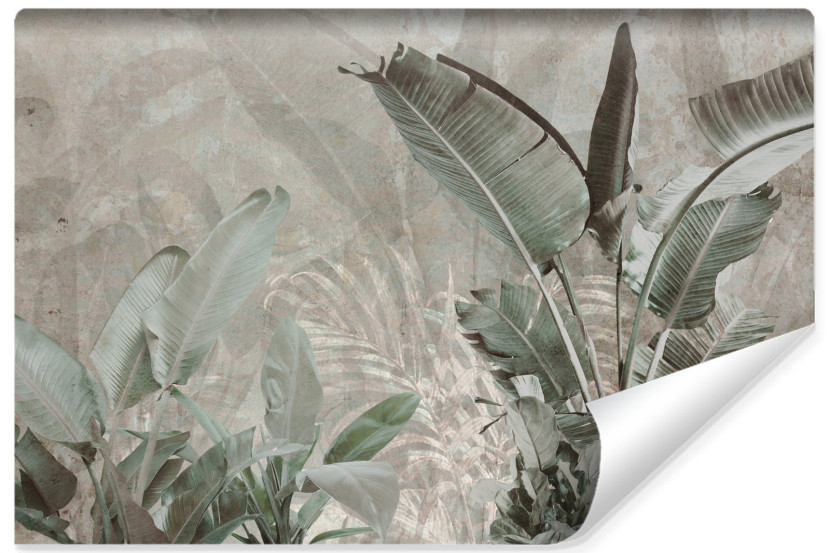 Fototapeta Liście Bananowe Na Betonie 90x60cm