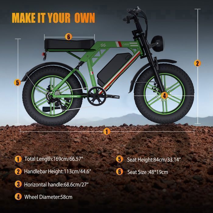 Vélo électrique 1000W 20
