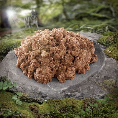 Wolf of Wilderness Adult „Der Geschmack von“ 6 x 400 g