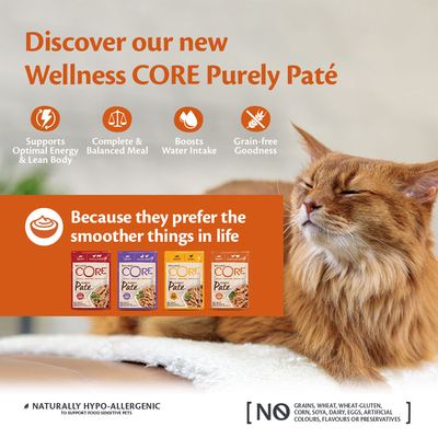 Hrană umedă pentru pisici Wellness Core Purely Paté