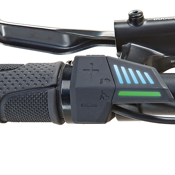 Ζάρια E-Mountainbike 1.0 Δράσης
