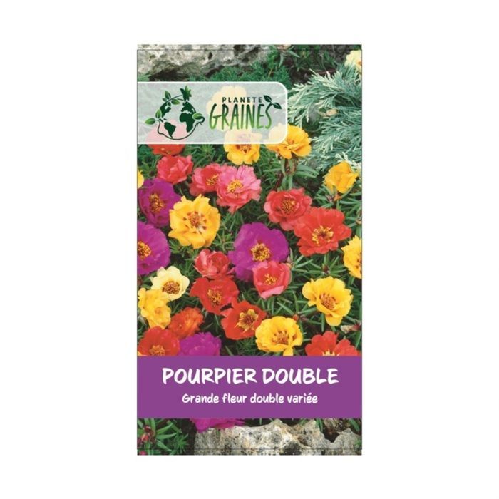 400 graines POURPIER Grandes fleurs Double - portulaca Grandiflora - coloris en mélange