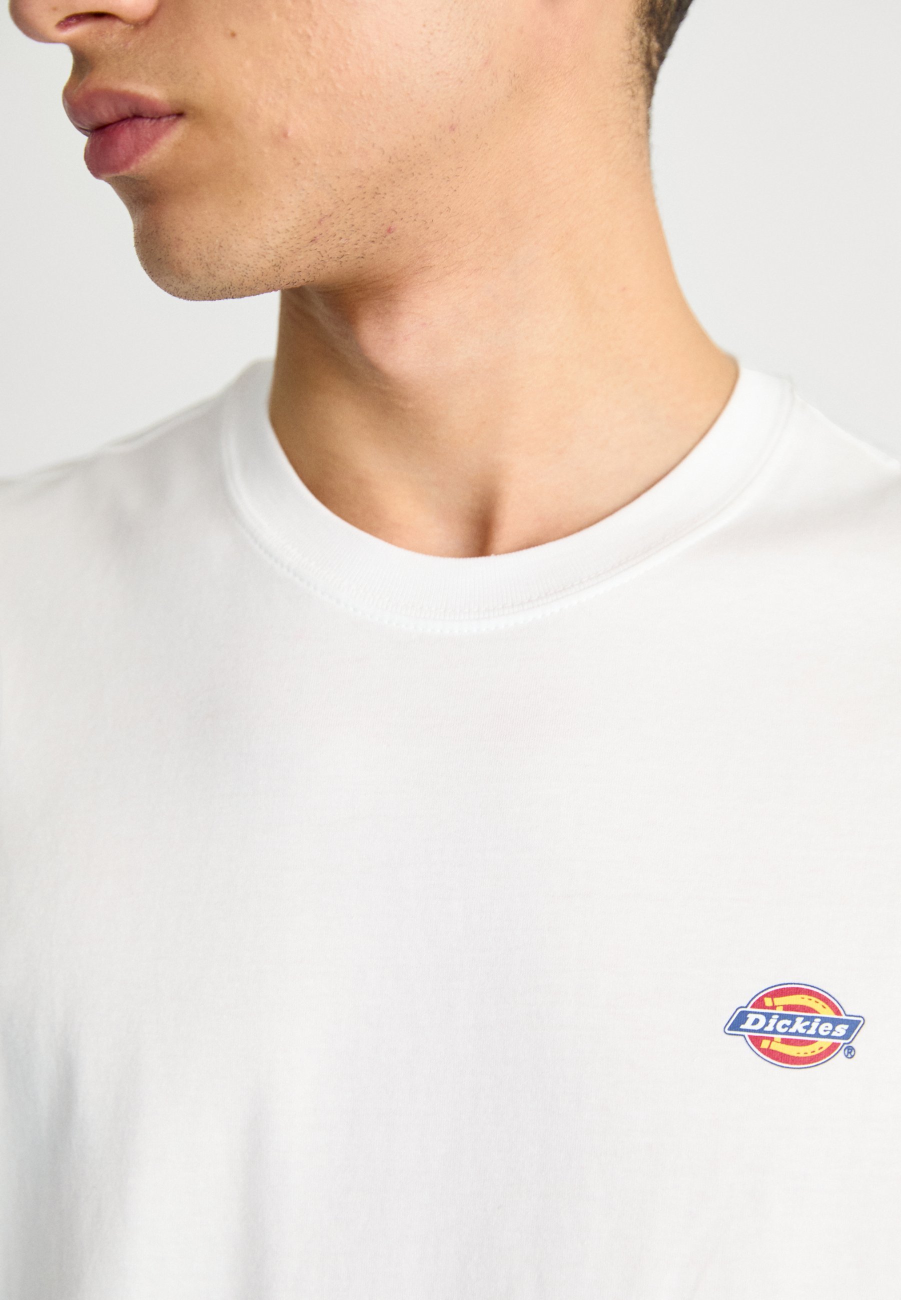 Dickies MAPLETON - Basic póló - fehér