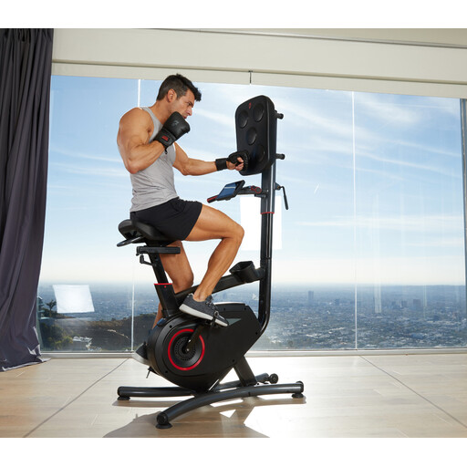 Bicicleta De Boxeo Lifespan Para Entrenar En Casa Cb110