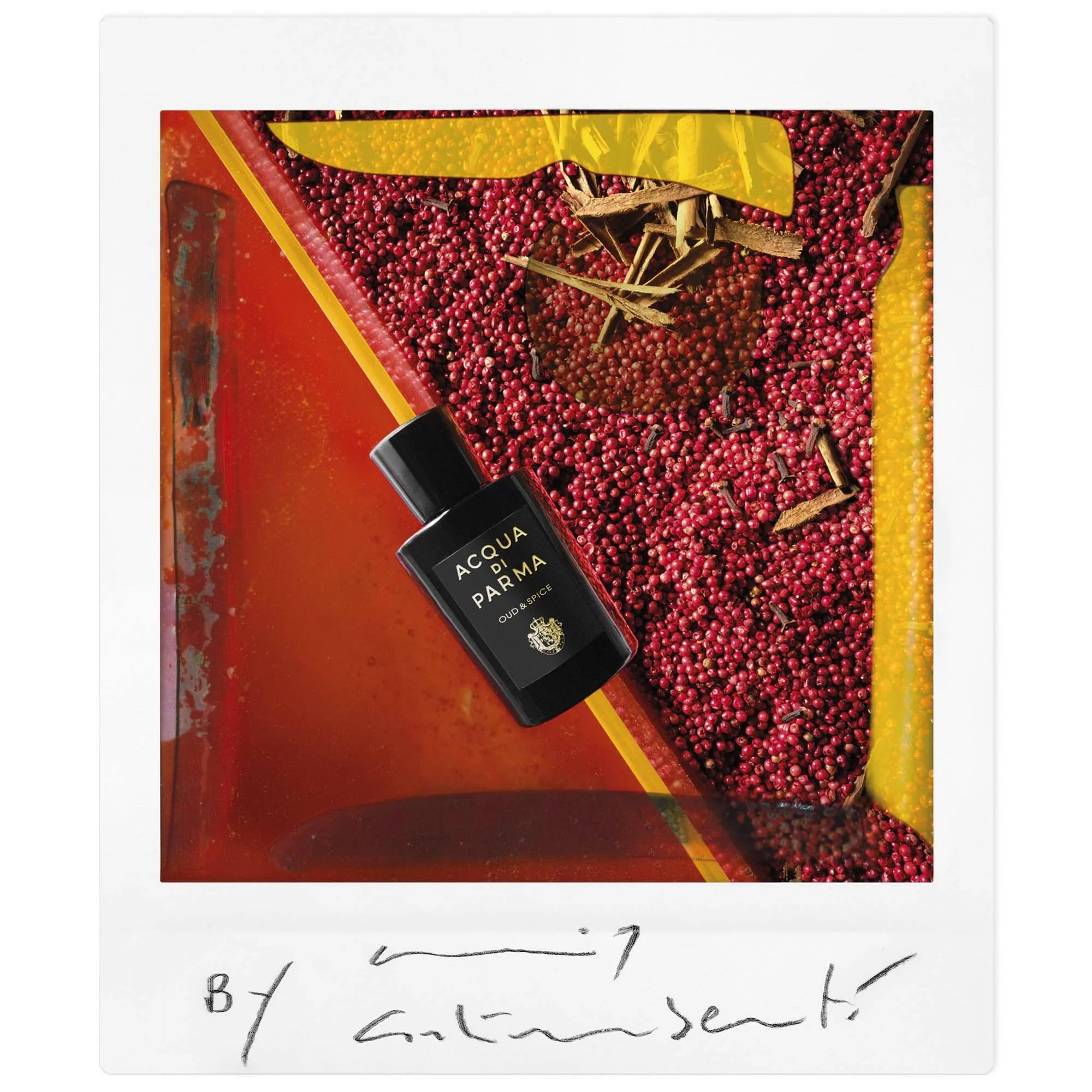 Signatures of the Sun Oud & Spice - Eau de Parfum Unisex, Eau de Parfum