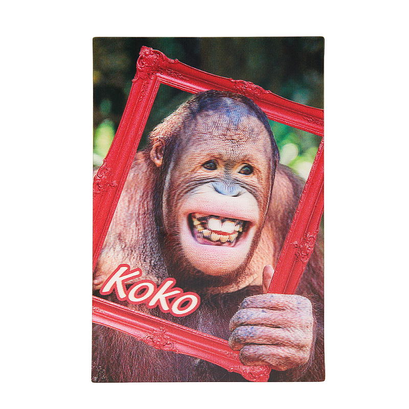 Kort 3D kokosabe