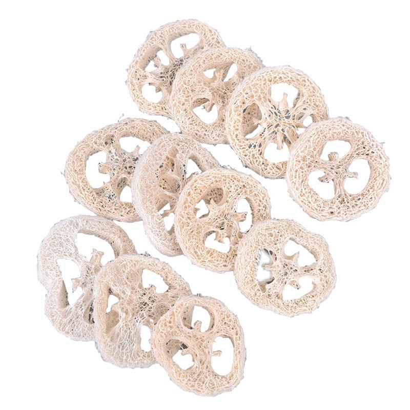 10 stk. naturlige loofah Luffa Loofa skiver håndlaget loofah såpeboks verktøy rengjøringssvamp ansiktssåpeholder
