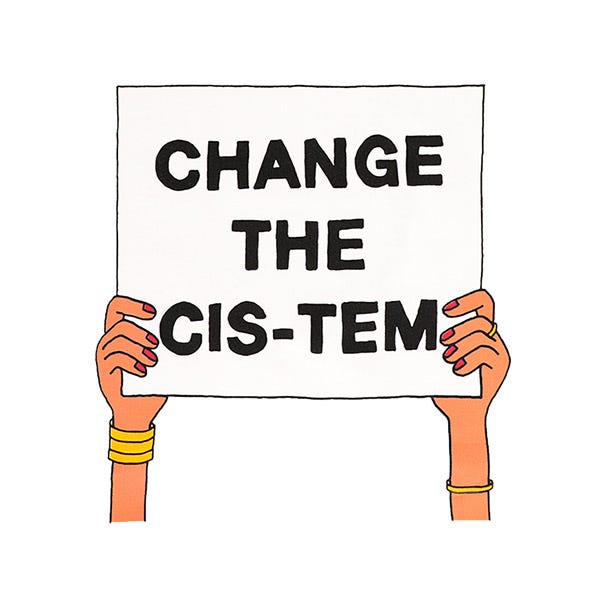 Мајица „Change The Cis-Tem“