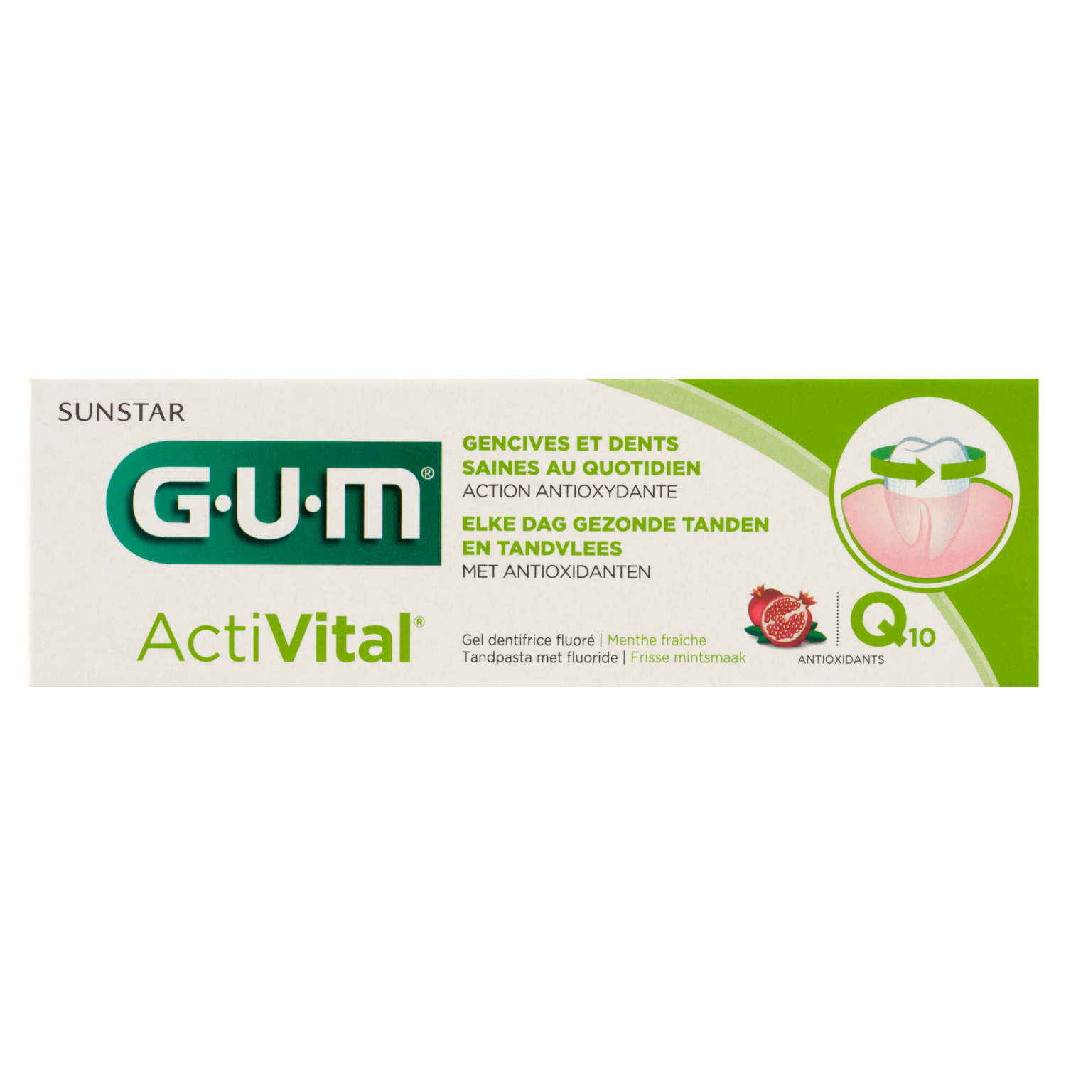 Gum Activital
