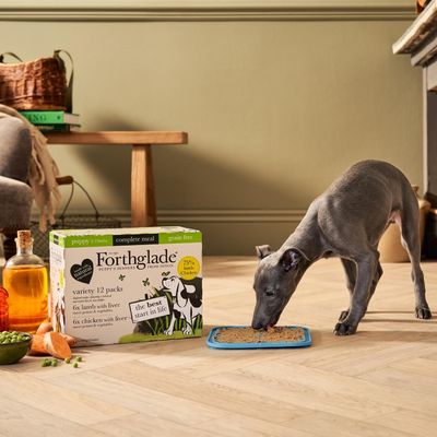 Forthglade Alleinfuttermittel getreidefrei für Welpen – Lamm & Huhn