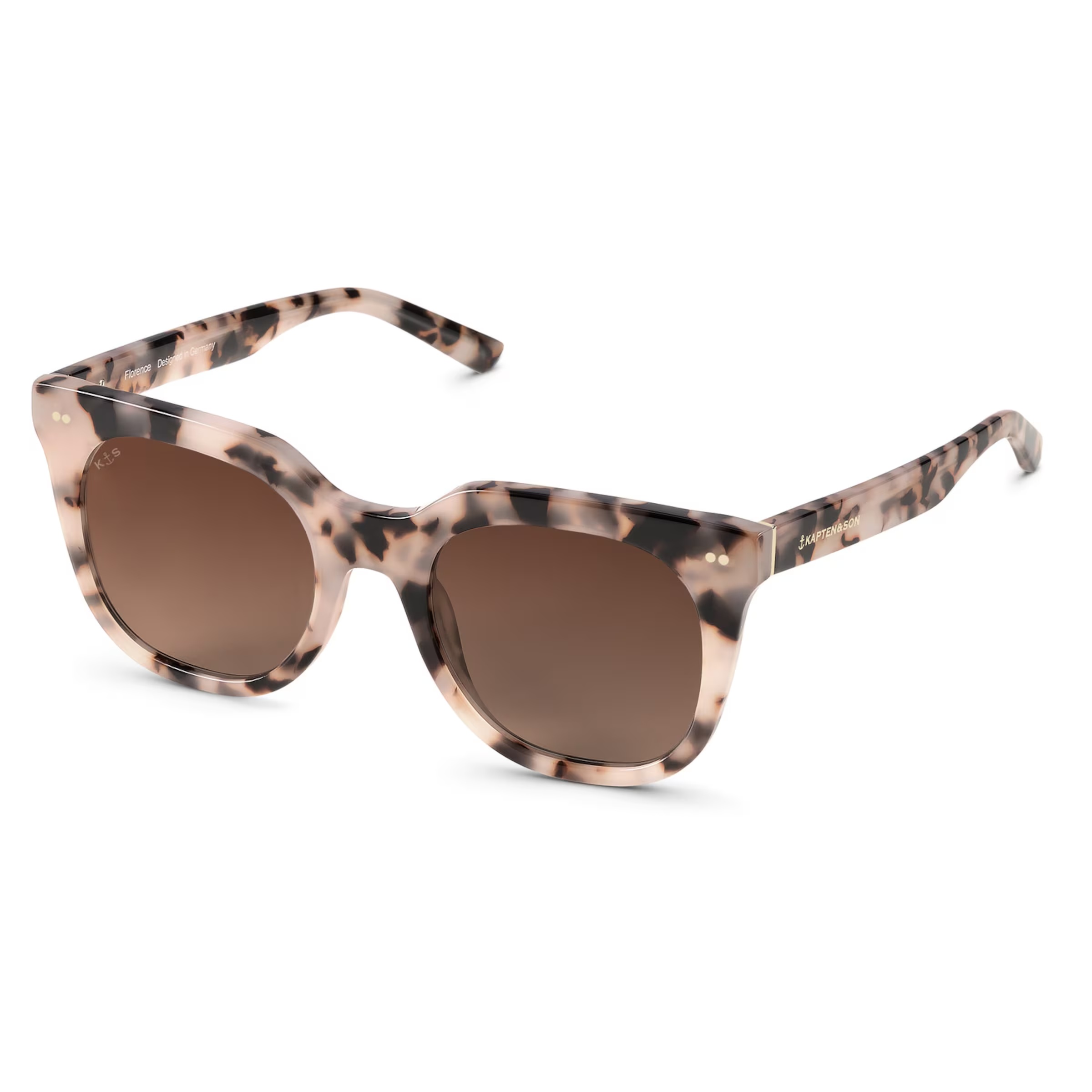 Tortue brune des sables de Florence