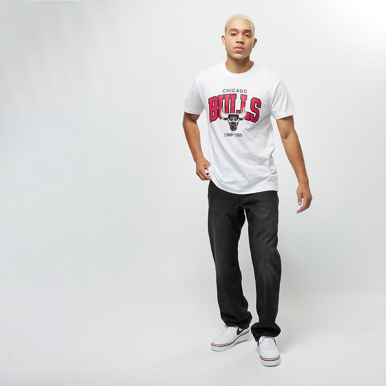 NBA Chicago Bulls Team Arch