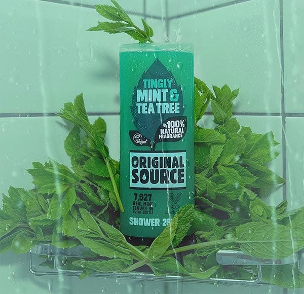 Mravljinčenje mete in čajevca | 500 ml