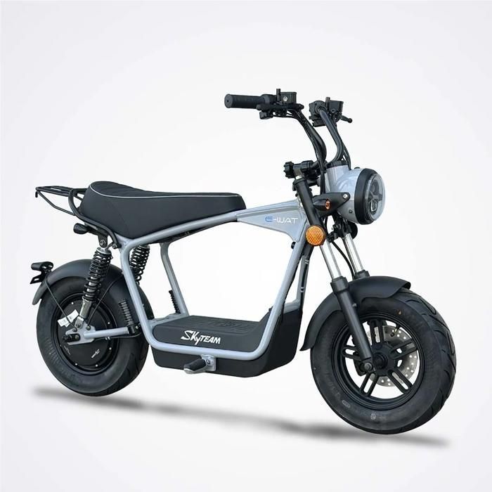 Moto électrique DAX E-WAT 1200W SKYTEAM / Gris