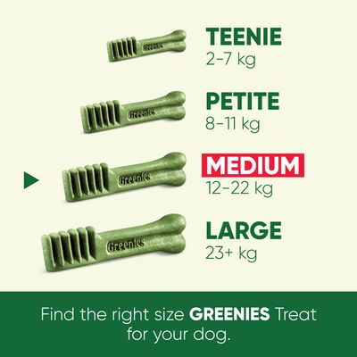 Greenies Golosinas Dentales para Perros Pack Ahorrador 3 x 170 g
