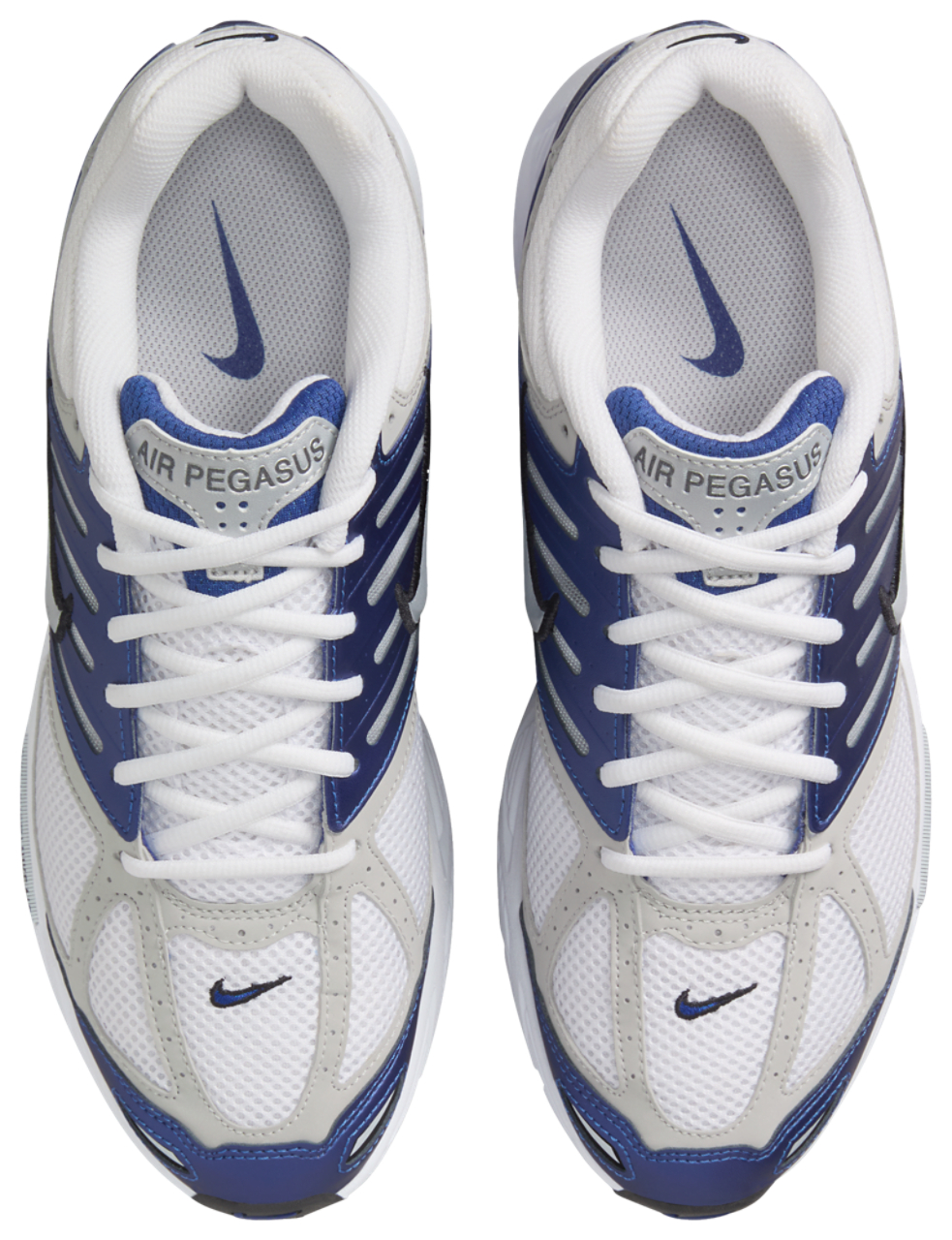 Nike Air Pegasus 2005