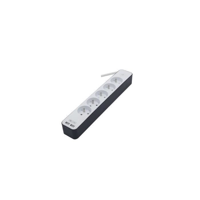 Regleta CHACON de 5 tomas de corriente y 16 A con 2 puertos USB y cable de 1,5 m HO5VV-F 3x1,5 mm² blanca y gris