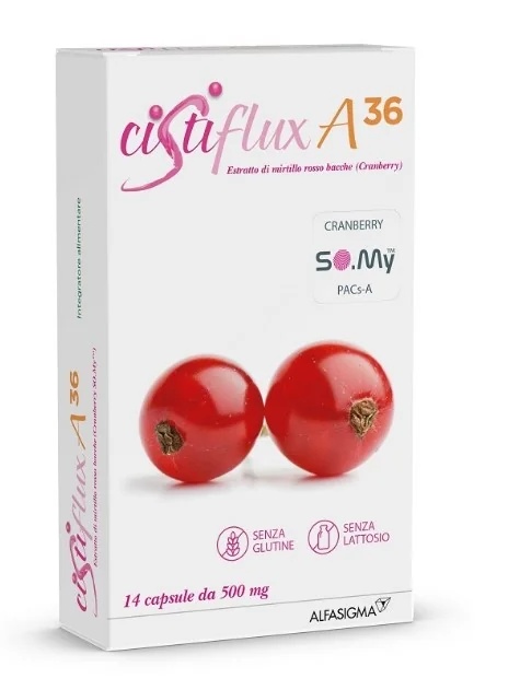 CISTIFLUX Cistiflux A36 14 capsules Voedingssupplement voor de urinewegen