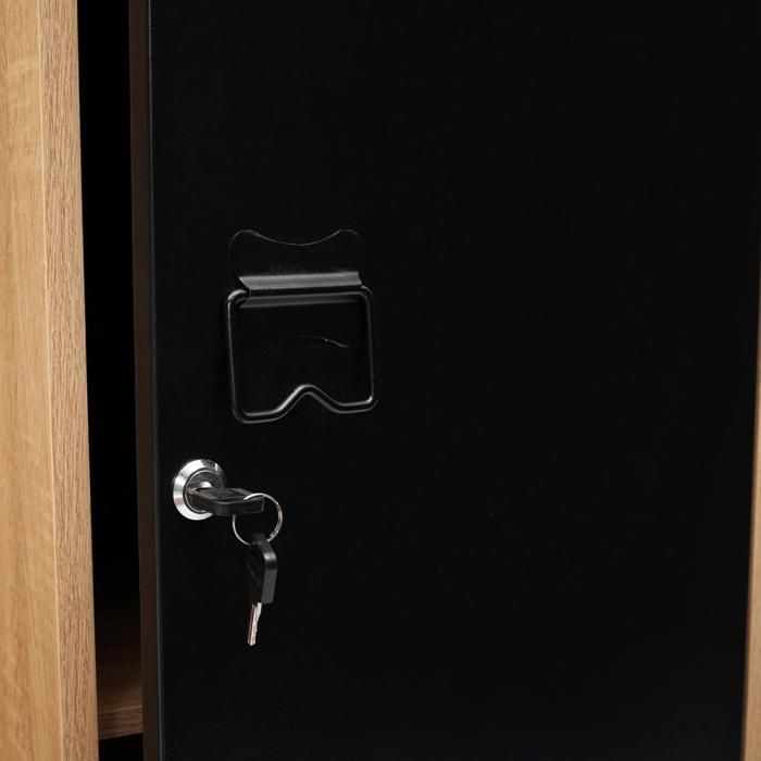IDMARKET Armoire vestiaire ESTER 1 porte métal noir et contour bois design industriel