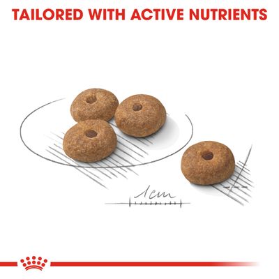 Royal Canin Mini Gesteriliseerd