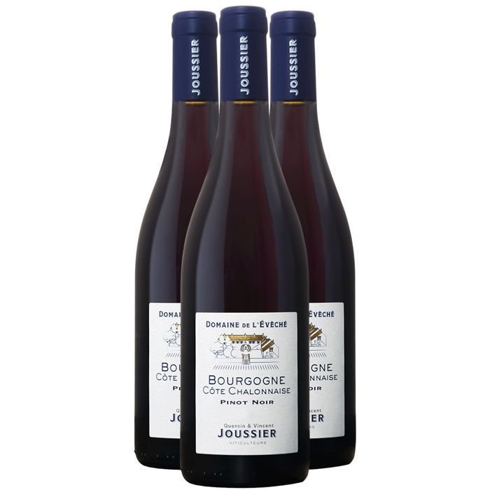 Domaine de l'Évêché Bourgogne Côte Chalonnaise Pinot Noir 2023 - Burgundy Red Wine (3x75cl)