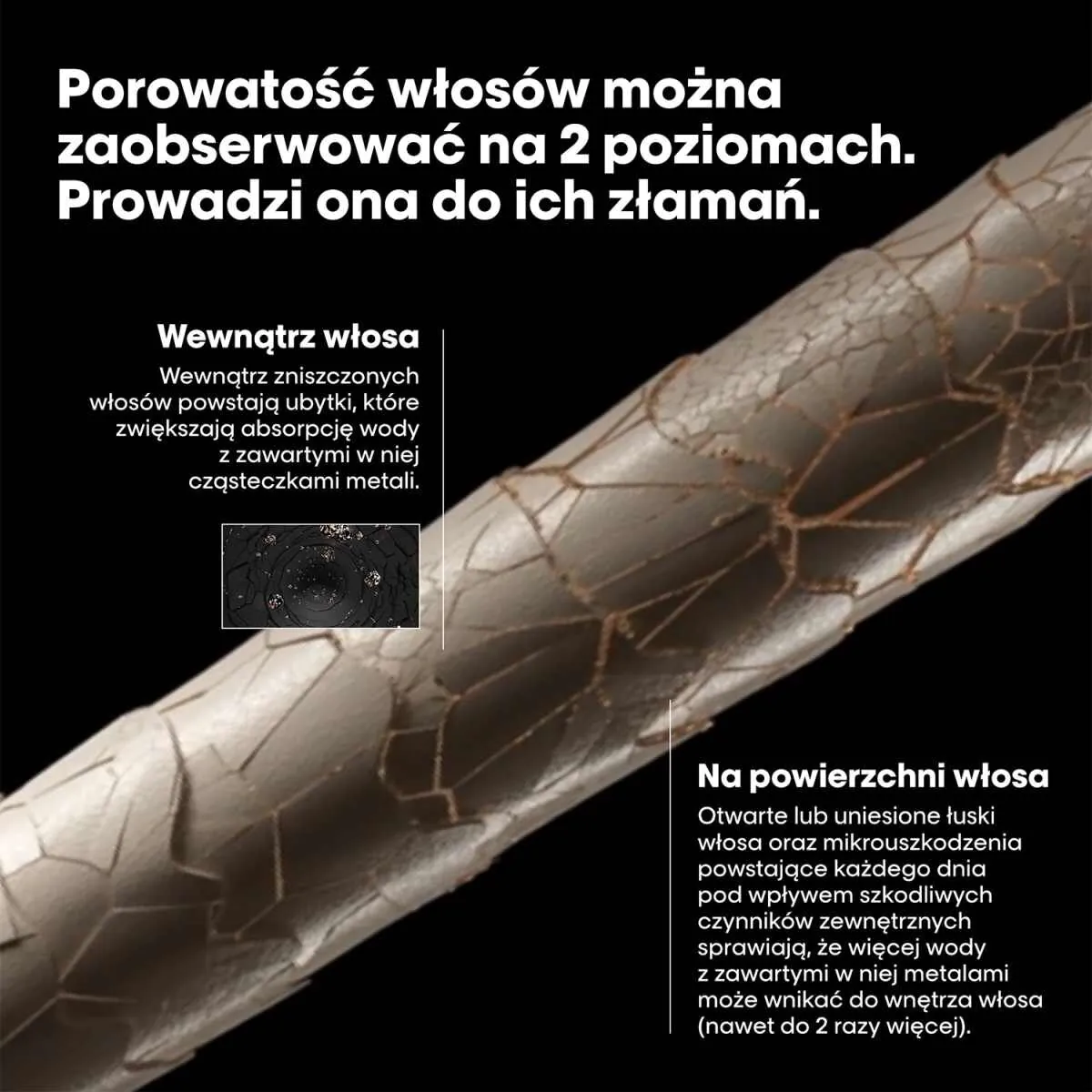 L’Oréal Professionnel Paris pielęgnacja przed szamponem Metal Detox