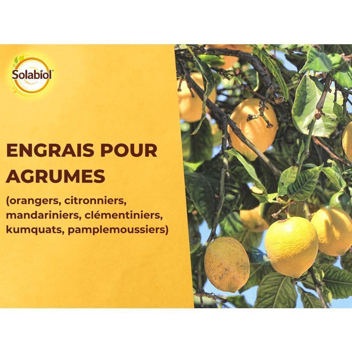 SOLABIOL Engrais agrumes - 1,5kg - Favorise la fructification - Nutrition longue durée - Jusqu'à 60% de fruits en plus - UAB