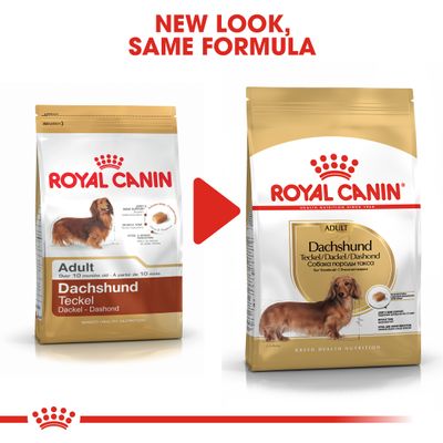 Royal Canin Bassotto Adulto