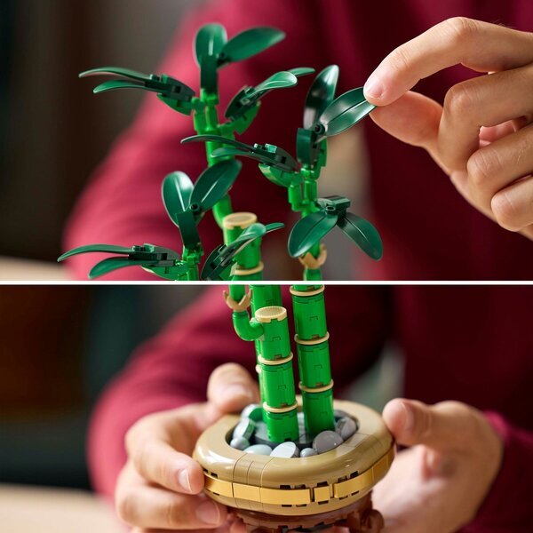 LEGO Botanicals 10344 Бамбус