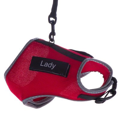 Trixie XCat Harness with Lead and Exclusive Stickers
